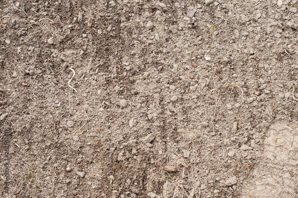 Land preparation of a private plot for planting fresh grass Land preparation of a private plot for planting fresh grass