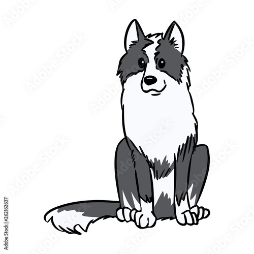 Siberian Husky or Laika Dog. Cute dog illustration. Domestic animal or pet with black and white coat in cartoon style