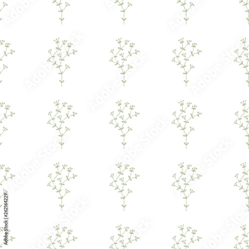Herbs and flowers Botanical seamless pattern in sketch style