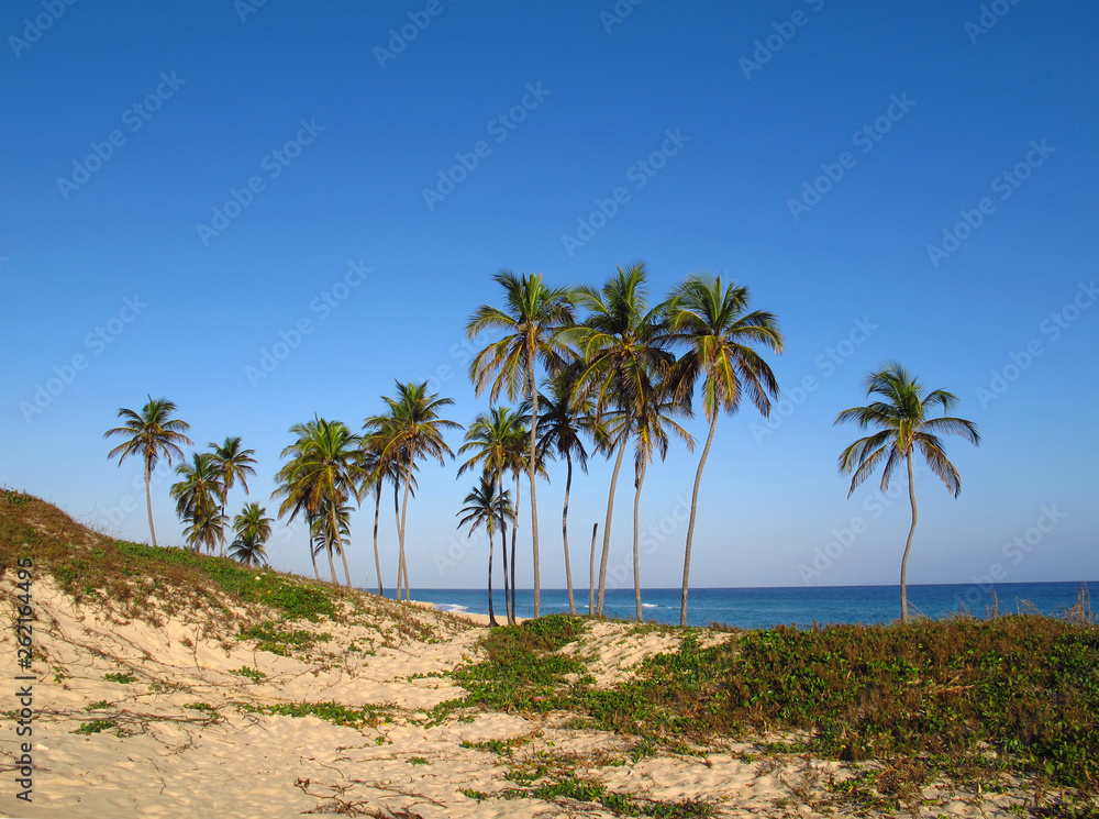 Varadero beach, Caribbean sea, Cuba