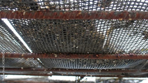 Oyster farming and oyster traps, floating mesh bags by Carrickfinn in County Donegal, Ireland photo