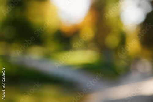 Wallpaper Mural Abstract blurred nature background. Forest trees, Sunny day, sun glare, bokeh. Defocused backdrop for your design Torontodigital.ca