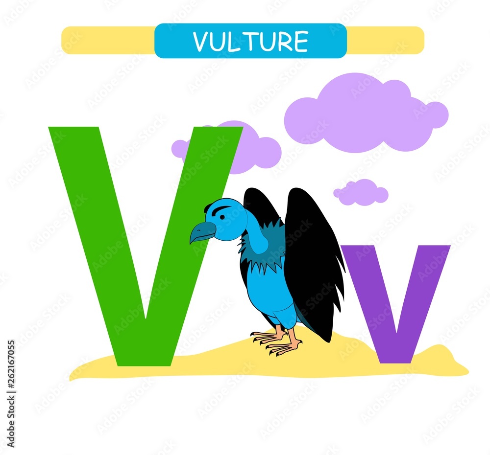 Letter V and funny cartoon vulture. Animals alphabet a-z. Cute zoo alphabet  in vector for kids learning English vocabulary. Printable sheet. Stock  Vector | Adobe Stock