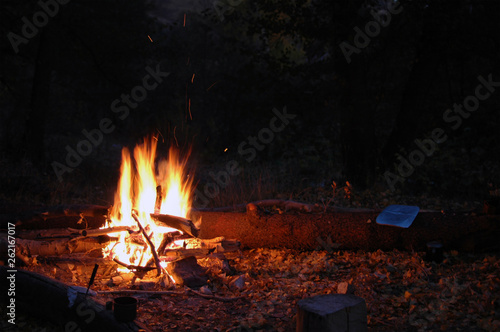 Obraz na plátne Night campfire. Fire flames at summer bight