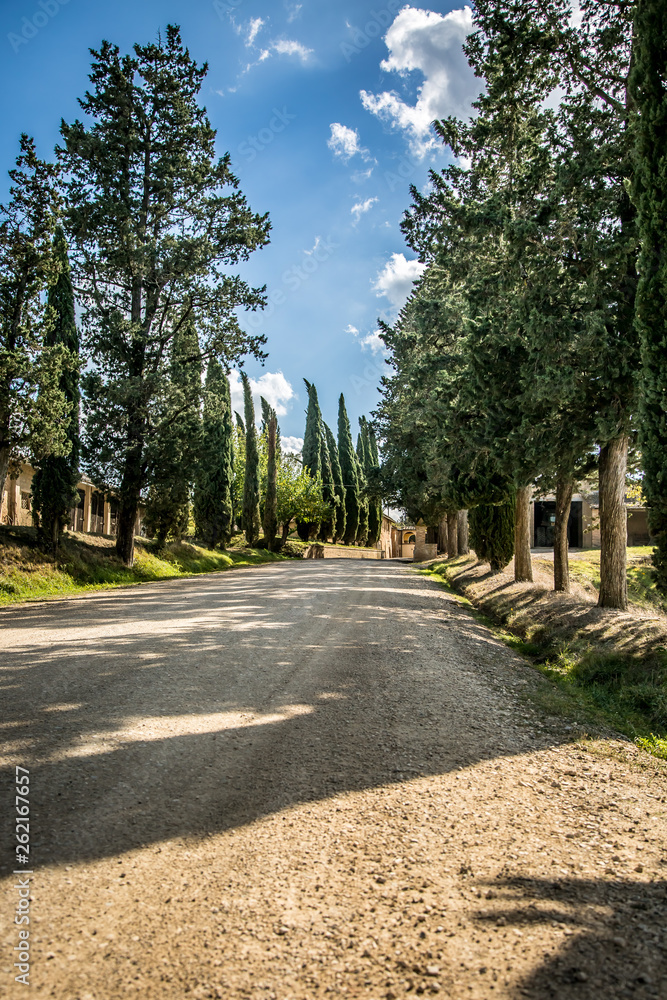 Beautiful Tuscany landscape Beautiful Tuscany landscape