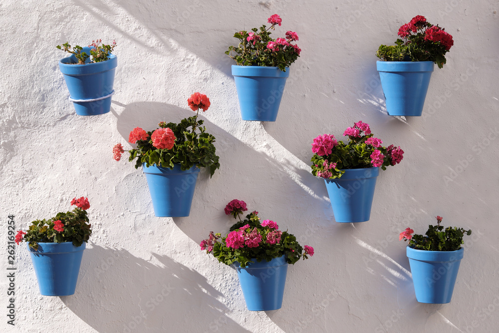 Andalucia Spain whitewashed village flower pot wall display