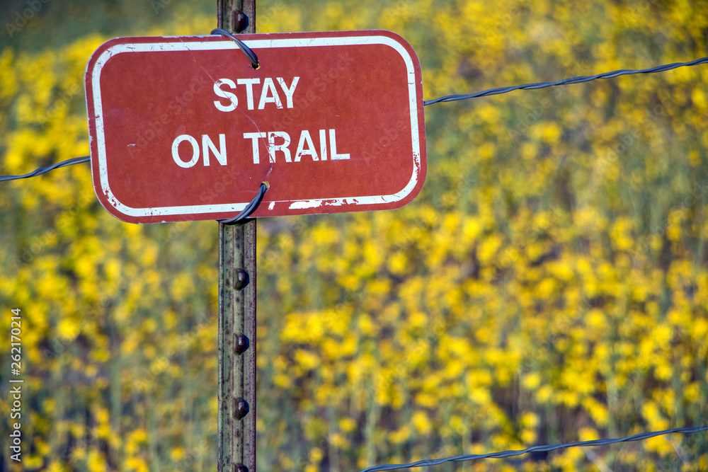 Stay On Trail sign by yellow wildflowers