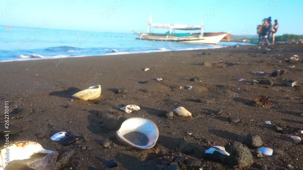 Shells on the beach and the waves are crashing. Shells on the beach and the waves are crashing.