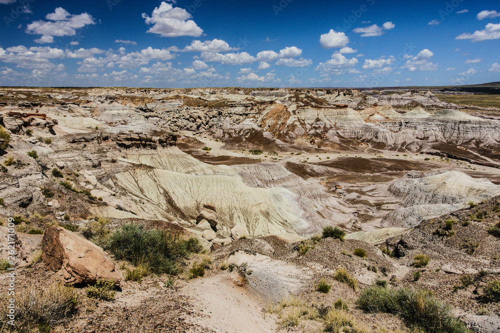 Blue Mesa in Petrified Forest National Park in Arizona, United States Blue Mesa in Petrified Forest National Park in Arizona, United States