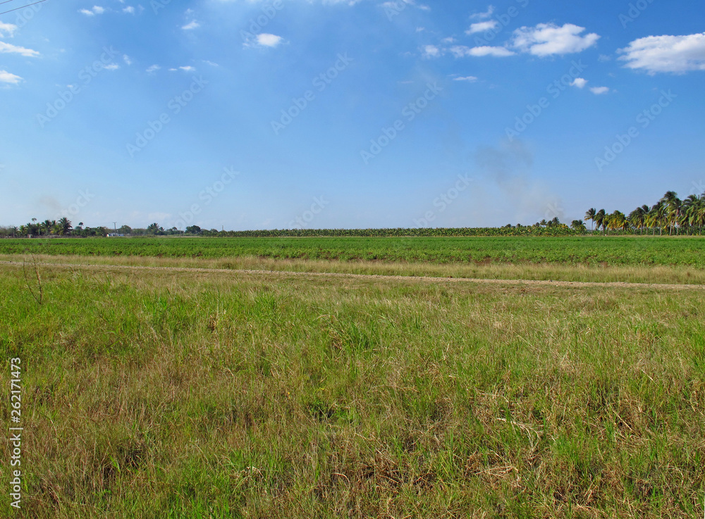 Obraz premium Camaguey, Cuba