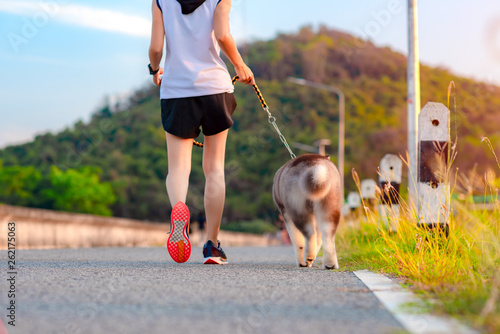 Back and tail of naughty and Stubborn dog anti exercise running with woman owner in the road of public park photo