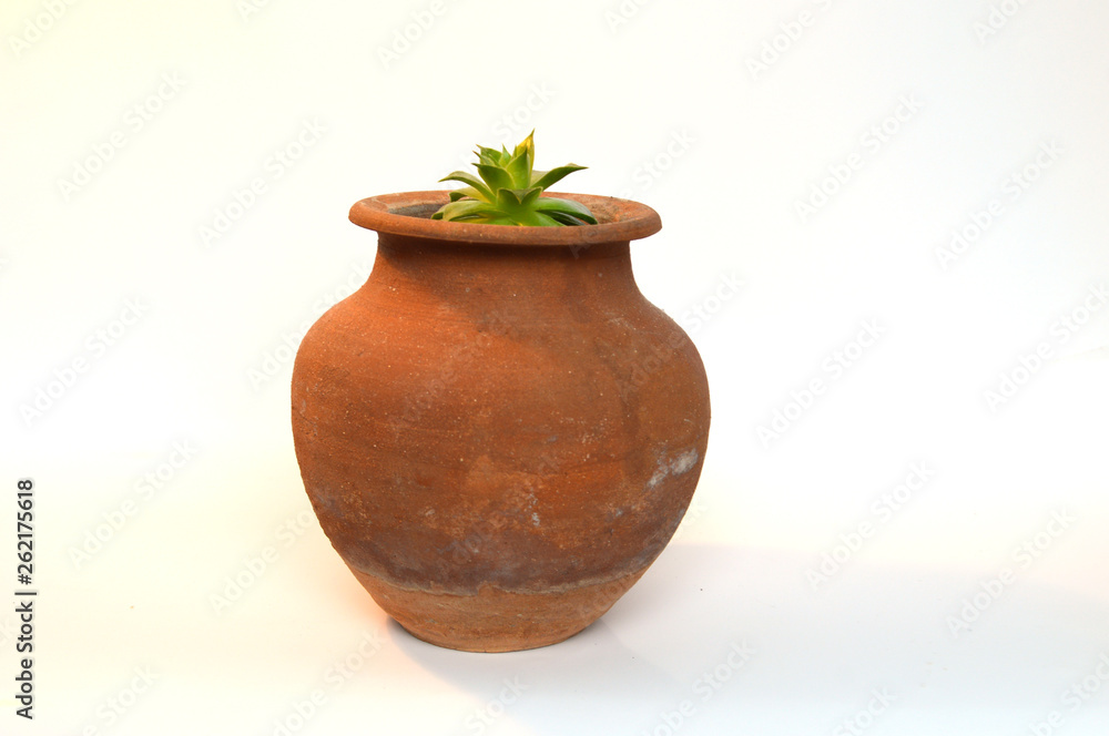 Cactus and Succulents in handmade pots Cactus and Succulents in handmade pots