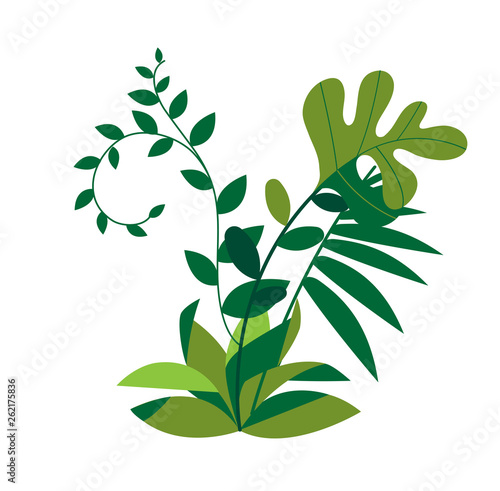 Plants and Flowers Decoration