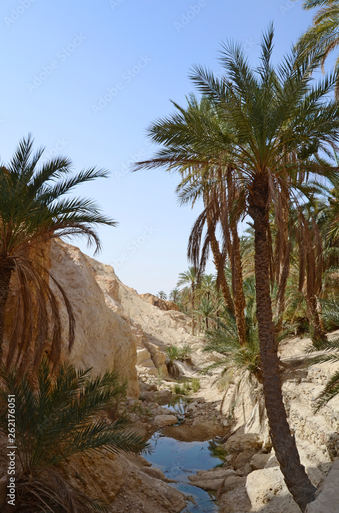 Famous Mountain oasis Chebika in Tunisia, Northern Africa Famous Mountain oasis Chebika in Tunisia, Northern Africa