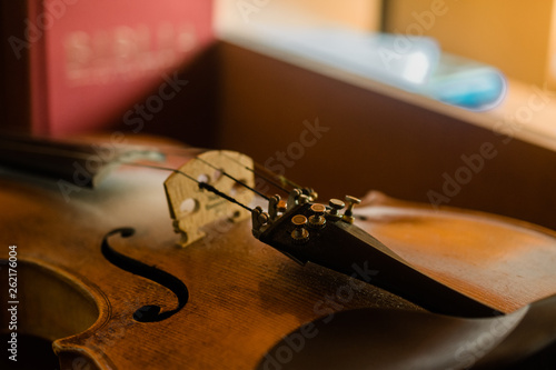 Violin string