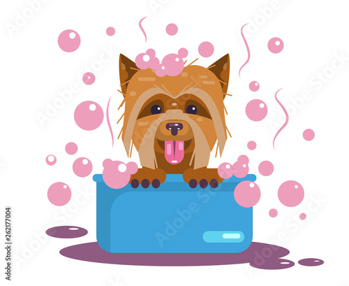 Dogs grooming. Puppy wash. Funny muzzle