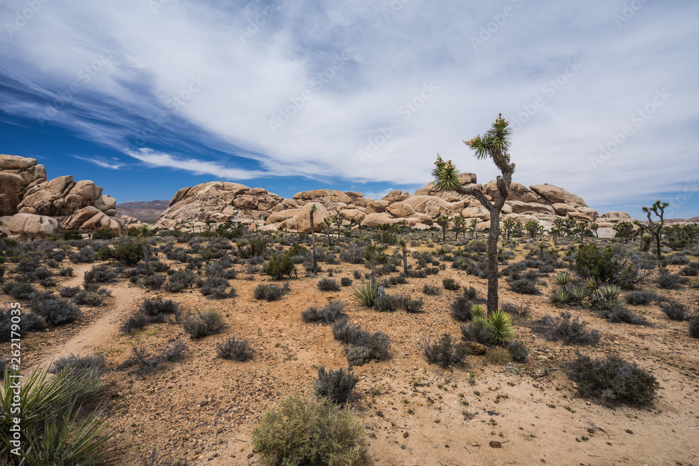 Hall of Horrors in Joshua Tree National Park in California, United States