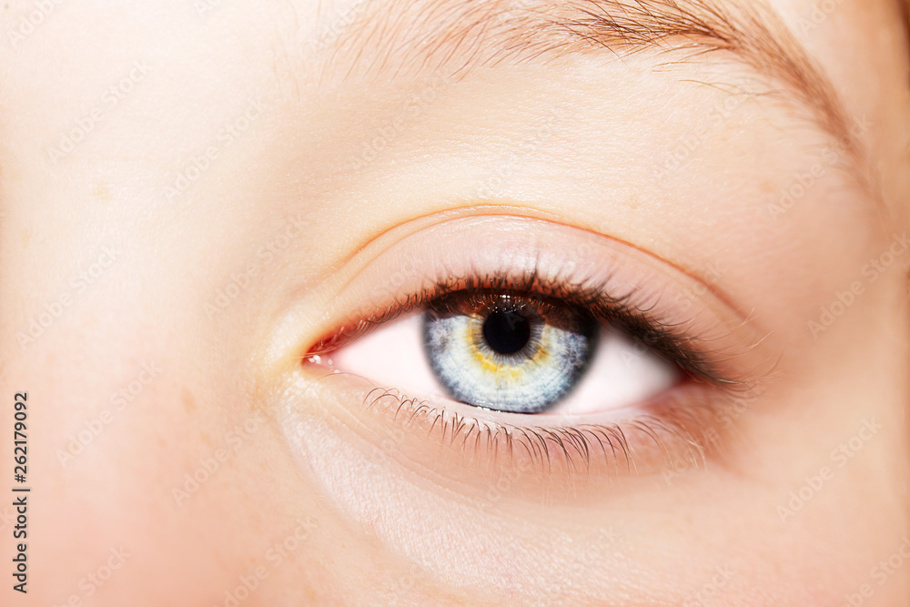 A beautiful insightful look eye. Close up shot A beautiful insightful look eye. Close up shot
