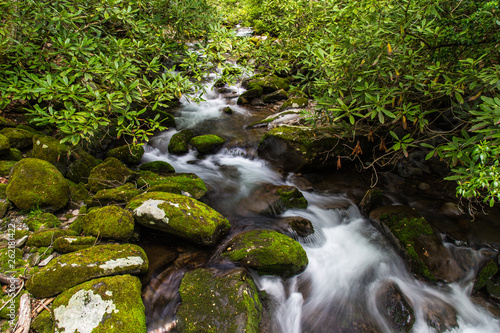 Kephart Prong in Great Smoky Mountains National Park in North Carolina, United States photo