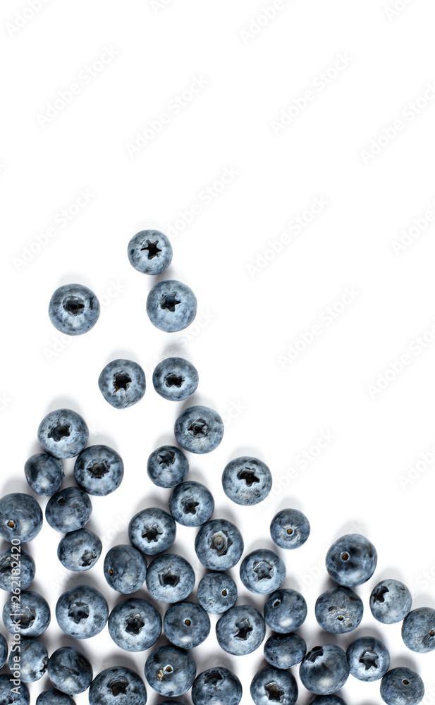 blueberries isolated on white background blueberries isolated on white background