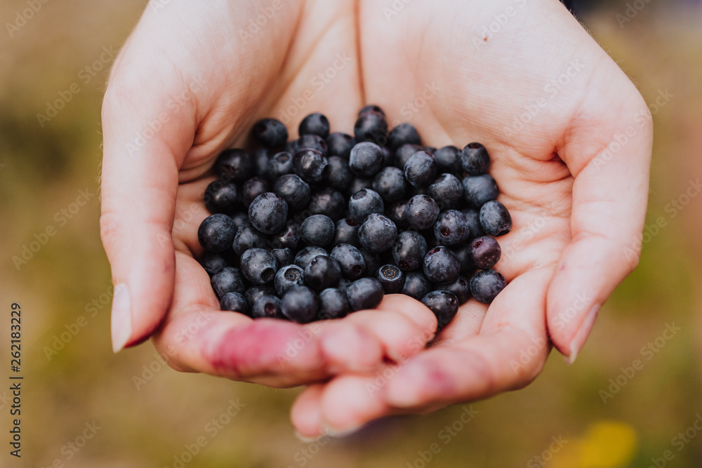 Handful of blueberries Handful of blueberries
