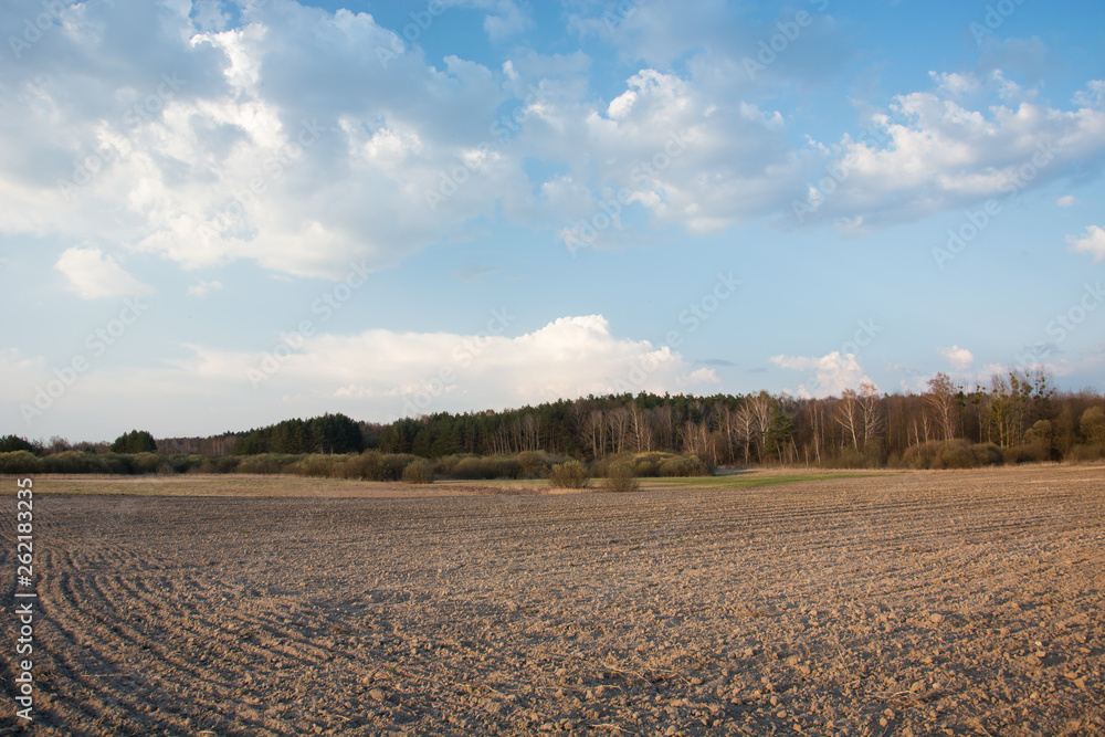 Morning view on plowed field and forest Morning view on plowed field and forest