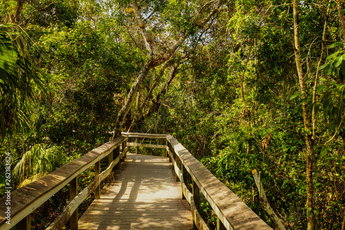 Mahogany Hammock in Everglades National Park in Florida  United States