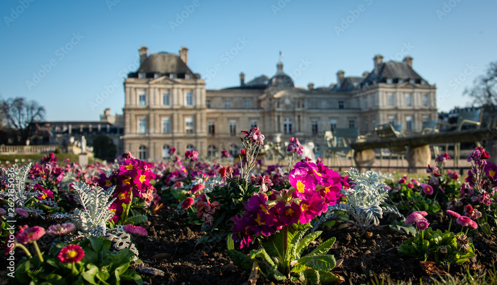 Parigi, Francia, Tour Eiffel, Notre Dame, viaggio, Parigi, Francia, Tour Eiffel, Notre Dame, viaggio,