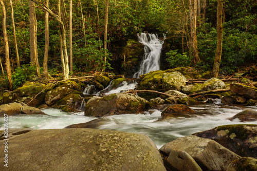 Fototapeta Naklejka Na Ścianę i Meble -  Mouse Creek Falls in Great Smoky Mountains National Park in North Carolina, United States
