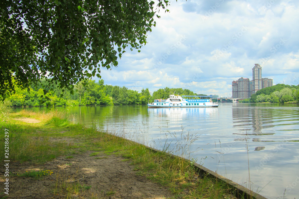 Fototapeta premium landscape with river and bridge