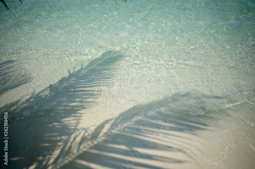 Canvas Print tropical beach at Koh Kood island, Thailand