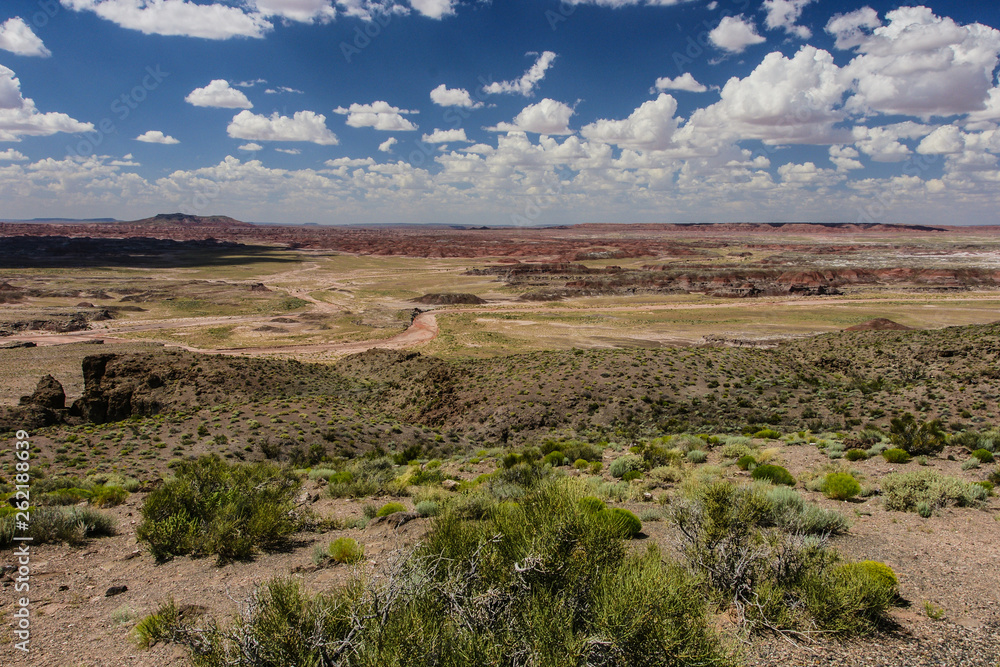 Fototapeta premium Pintado Point in Petrified Forest National Park in Arizona, United States