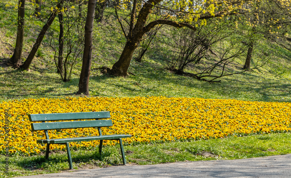 Naklejka premium Bednarski Park in Krakow