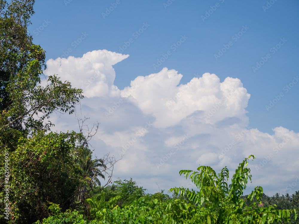 Obraz premium Beautiful, cumulus clouds in the blue sky
