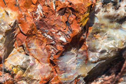 Wallpaper Mural Rainbow Forest in Petrified Forest National Park in Arizona, United States Torontodigital.ca