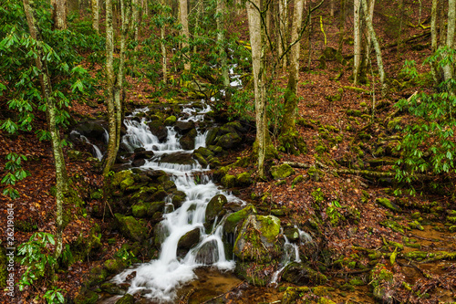 Random Cascades on Newfound Gap Road in Great Smoky Mountains National Park in North Carolina  United States