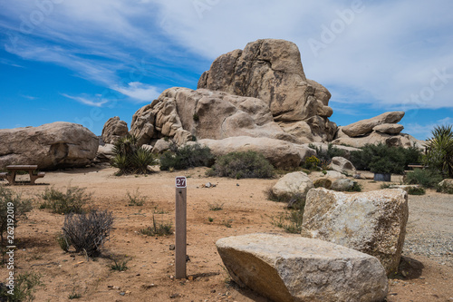 Ryan Campground in Joshua Tree National Park in California, United States