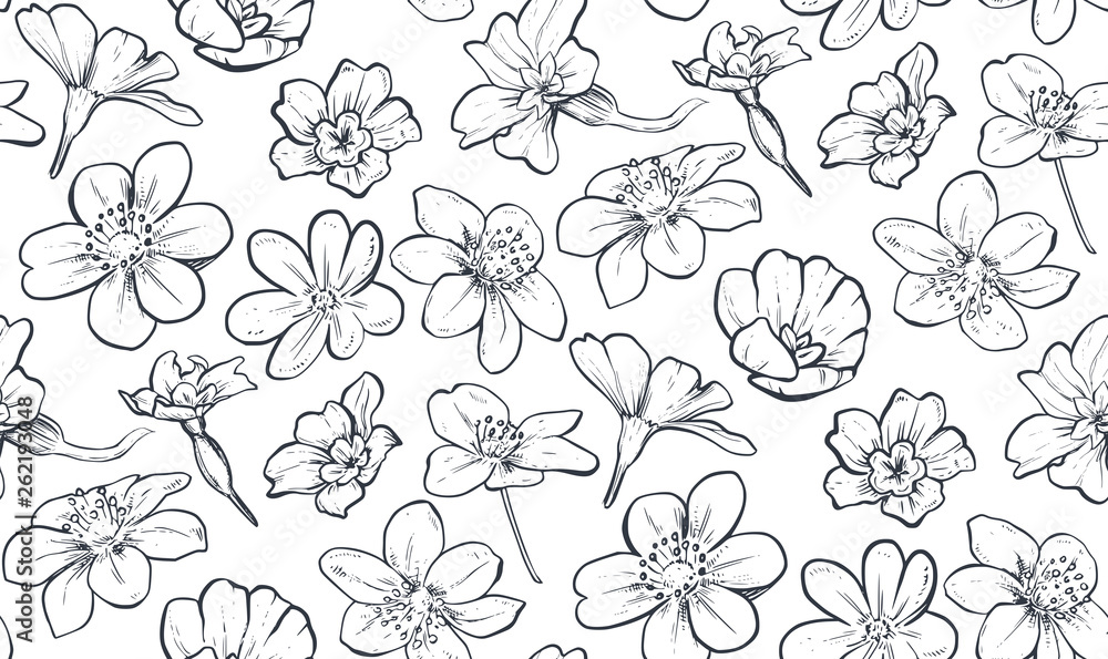 Vector seamless pattern with hand drawn spring flowers and leaves