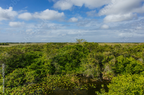 Shark Valley in Everglades National Park in Florida  United States