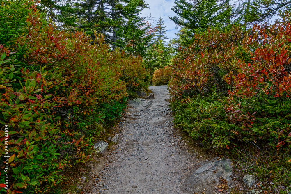 Ship Harbor Trail in Acadia National Park in Maine, United States Ship Harbor Trail in Acadia National Park in Maine, United States