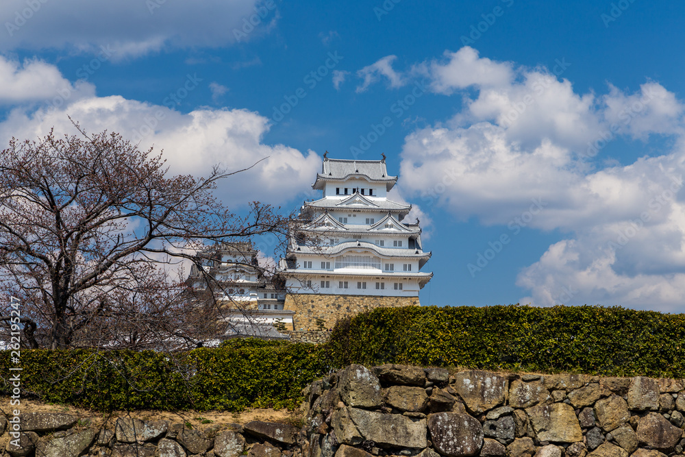 Hemeji castle in spring with pink sakura, Kansai, Japan Hemeji castle in spring with pink sakura, Kansai, Japan