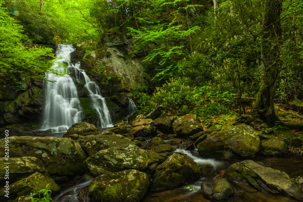 Naklejka premium Spruce Flats Falls w Parku Narodowym Great Smoky Mountains w Tennessee, Stany Zjednoczone
