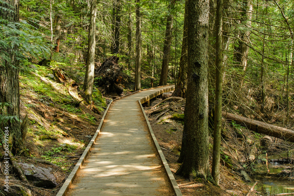 Trail of the Cedars in Glacier National Park in Montana, United States Trail of the Cedars in Glacier National Park in Montana, United States
