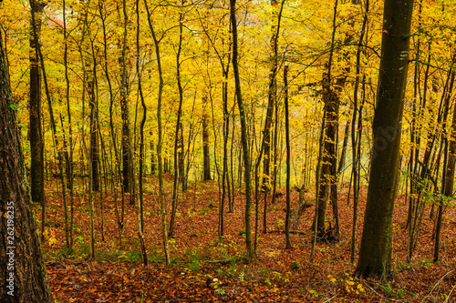 Turnhole Bend Trail in Mammoth Cave National Park in Kentucky, United States