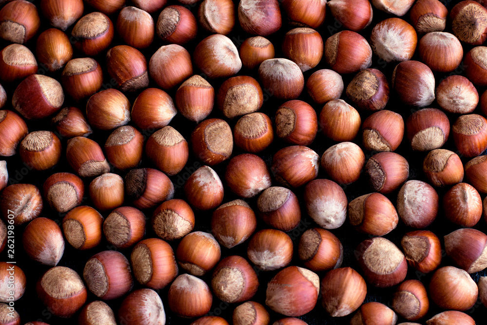 hazelnut placer texture hazelnuts in the shell hazelnut placer texture hazelnuts in the shell