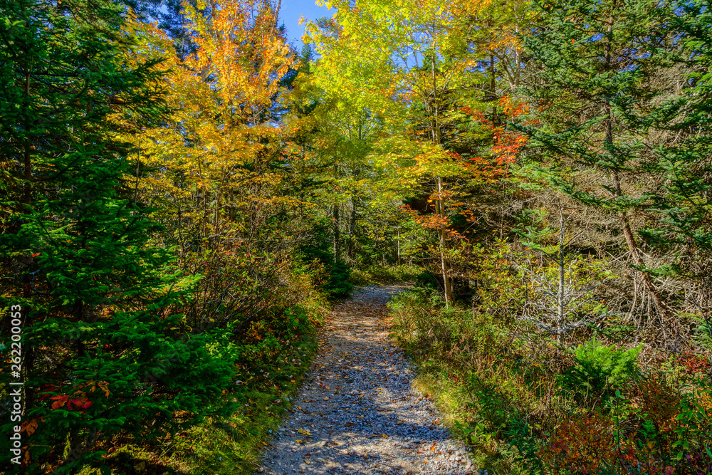 Wonderland Trail in Acadia National Park in Maine, United States