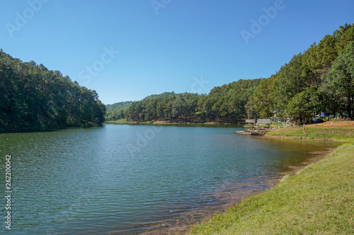 View of pine forest and lake in pang oung  maehongson  Thailand