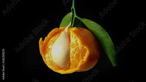 Mandarin and clove of garlic. Not every place you fit is where you belong. Conceptual footage of garlic and tangerine rotates on a black background photo
