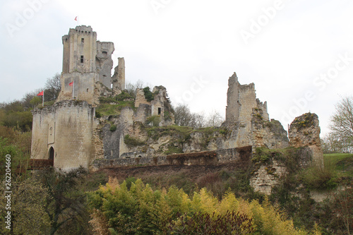 ruined medieval castle in lavardin  france  