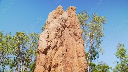 Rotation view of the top of a tall termite house made of red earth in Australia's outback. photo